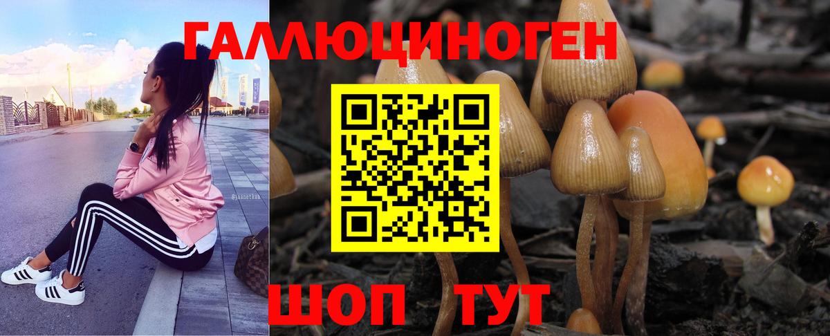 Псилоцибиновые грибы мицелий  Псилоцибиновые грибы ЛСД  Дивногорск  Вход с VPN 