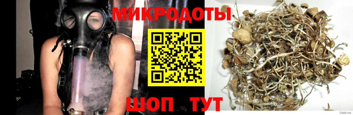 Псилоцибиновые грибы Magic Shrooms Дивногорск